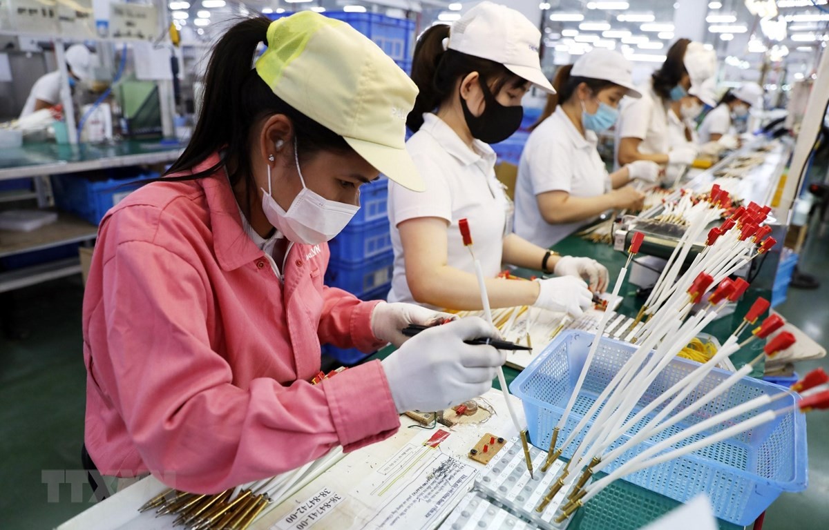 Vietnamese tech firms have room to grow | Sci-Tech | Vietnam+ (VietnamPlus)