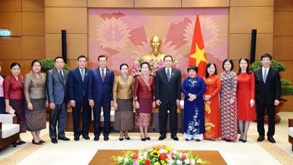 Vietnamese, Lao National Assemblies share experience in social affairs