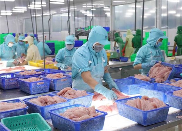 Vietnam’s aquatic exports hit 8.5 billion USD in the first nine months of 2022, a surge of 38% from the same period last year. (Source: VNA)