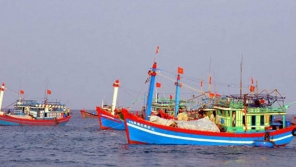 Coastal localities see better results in fighting IUU