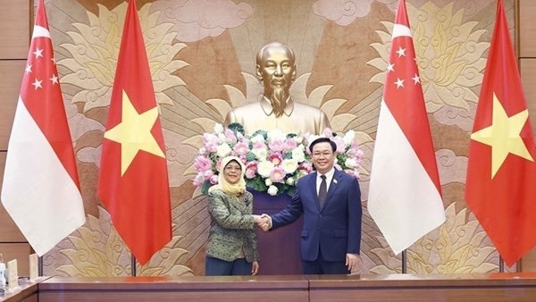 Vietnam-Singapore strategic partnership is developing fruitfully: NA Chairman