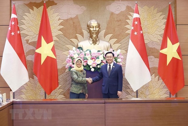 Vietnam-Singapore strategic partnership is developing fruitfully: NA Chairman