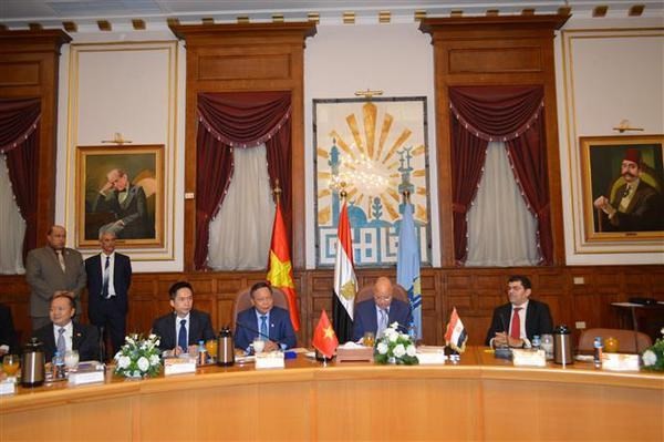 To promote collaboration between Vietnam and Egypt. (Source: VNA)