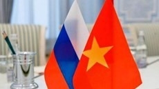 Webinar of scholars seeks to step up Vietnam – Russia cooperation