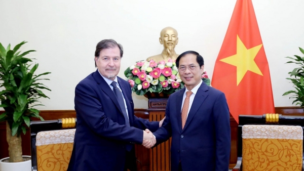 Vietnamese, Chilean Foreign Ministries hold political consultation