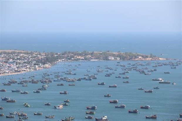 Visit Vietnam Year 2023 promotes green tourism