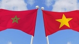 Vietnam, Morocco to strengthen cooperation in finance, banking