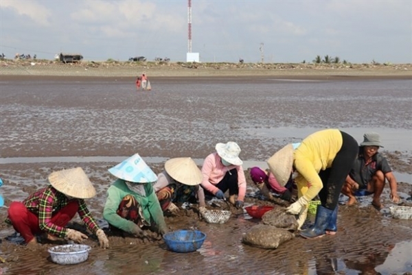 Tien Giang coastal districts develop aquaculture, adapt to climate change