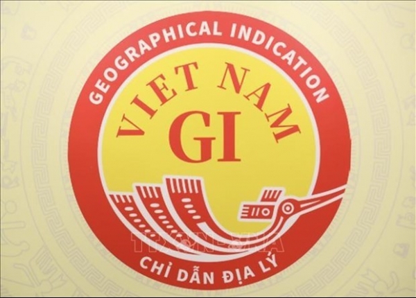 Vietnam National Geographical Indication logo revealed