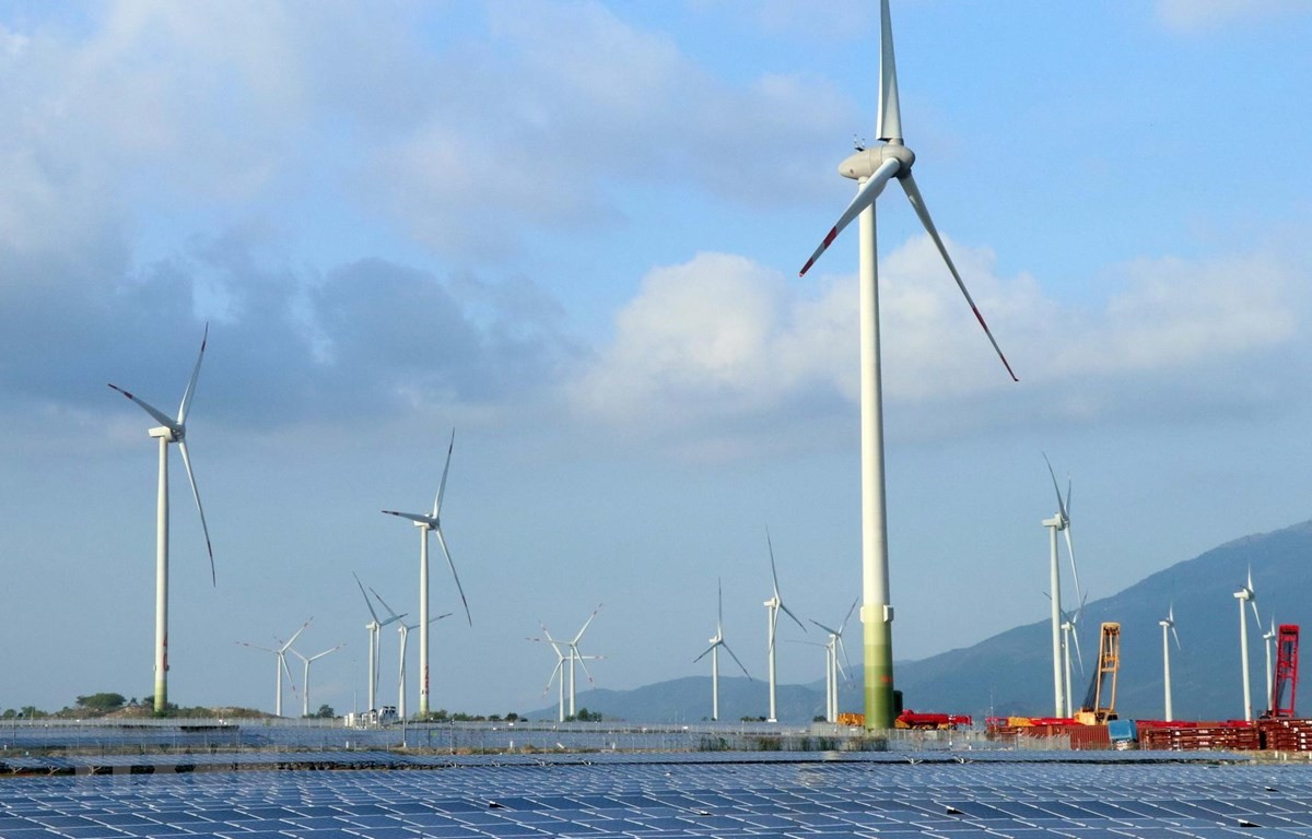 Plan approved to achieve net zero carbon by 2050