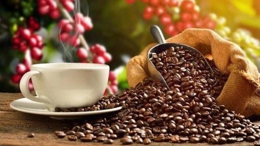 Vietnamese, German coffee firms advised to fully tap EVFTA