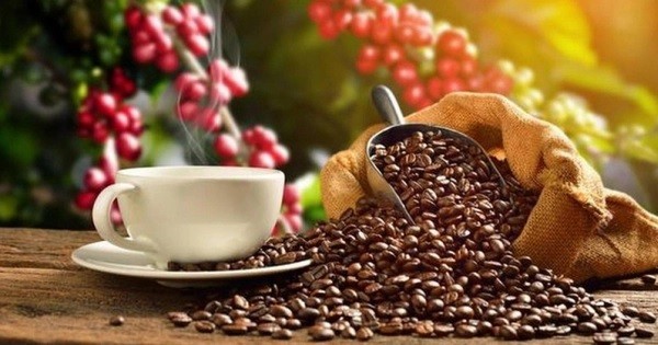 Vietnamese, German coffee firms advised to fully tap EVFTA