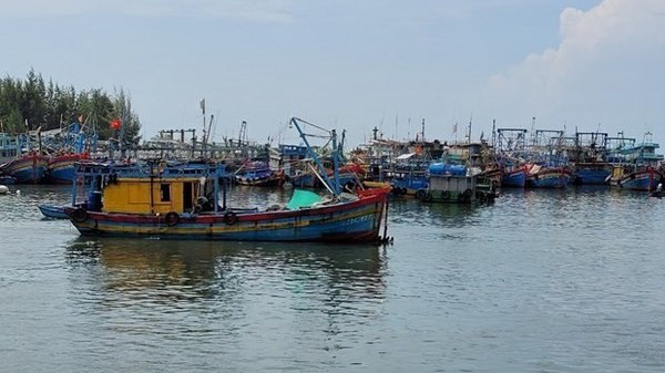 Vietnam to combat IUU fishing in accordance with international practices : MARD