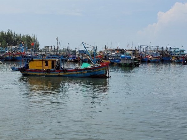 Vietnam works hard to prevent fishing vessels' infringement of foreign waters: MARD