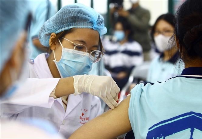 COVID-19: additional 277 cases confirmed on November 12 | Health | Vietnam+ (VietnamPlus)