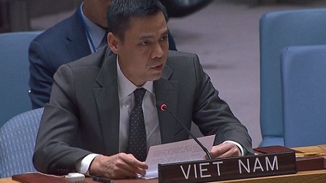Vietnam highlights importance of information sharing in UNGA performance: Ambassador