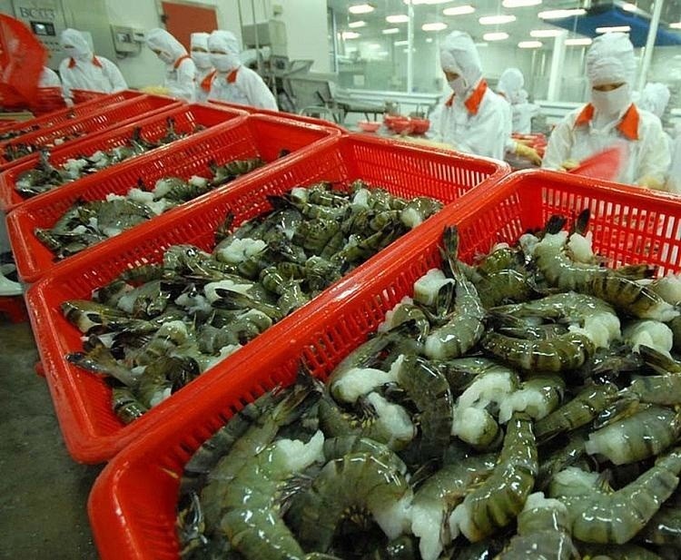 Reduce imports from Thailan and China, Australia increases import  shrimp from Vietnam. (Source: vasep)
