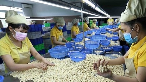 Vietnam records high export revenue from Cambodia
