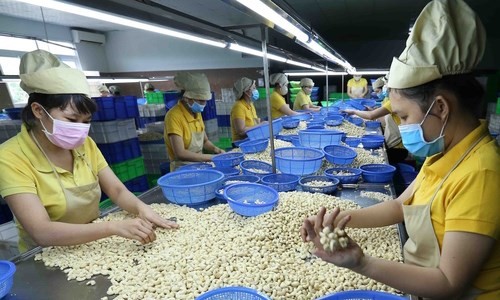 Vietnam records high export revenue from Cambodia Vietnam records high export revenue from Cambodia