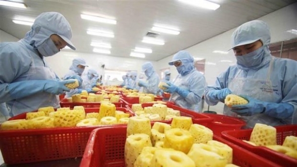 Vietnamese firms making relatively good implemantation of EVFTA: Survey