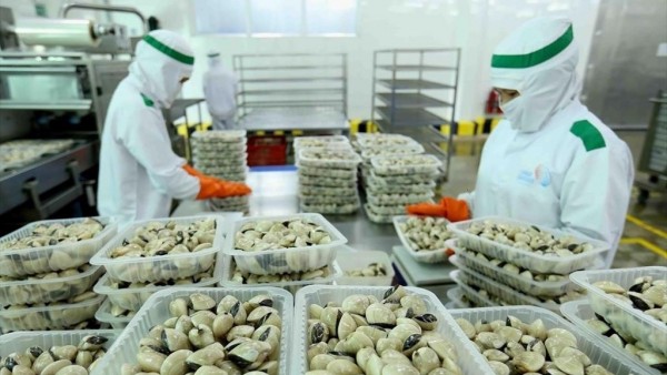 Vietnamese businesses advised to expand exports to EU via official channels