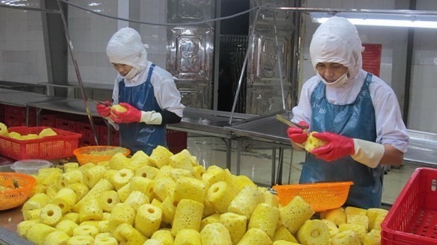 Vietnam advised to produce green, clean goods to win over European consumers