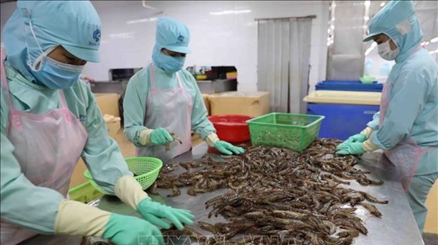 Bac Lieu turning shrimp sector into economic spearhead