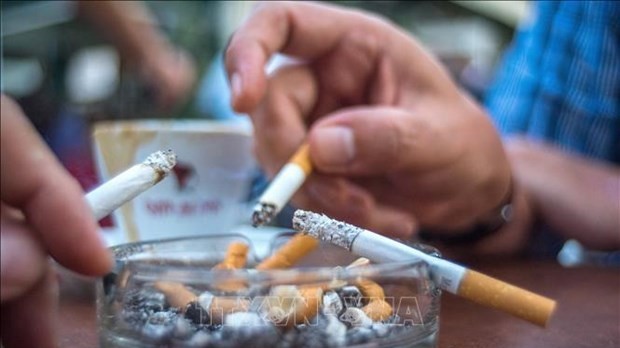 Workshop seeks measures to minimise tobacco use in Vietnam
