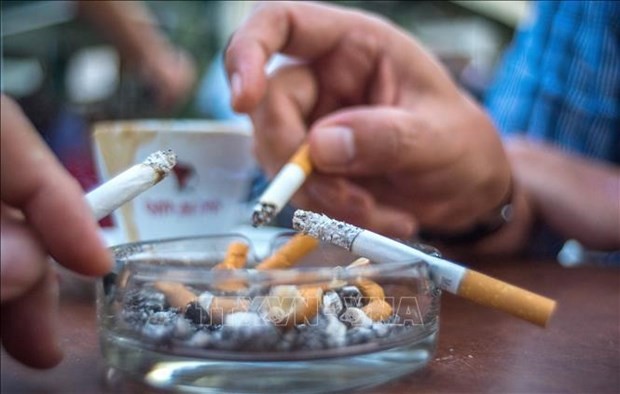 Workshop seeks measures to minimise tobacco use