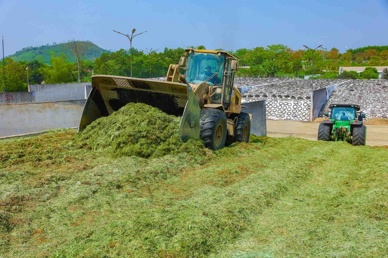 Forage pits as big as hills. Forage pits as big as hills.