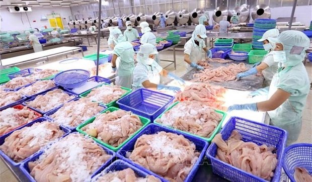 Fishery export completely recovers after COVID-19. Illustrative image. (Photo: VNA)