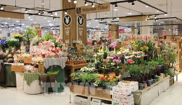 Imported flowers for sale at the AEON Mall Makuhari supermarket in Chiba prefecture of Japan. Many of the flowers are imported from Vietnam. (Photo: VNA)