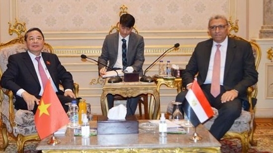 NA Vice Chairman Nguyen Duc Hai pays working visit to Egypt