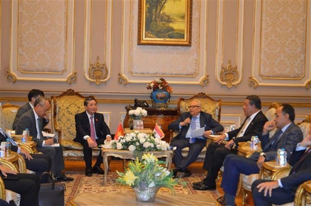 NA Vice Chairman Nguyen Duc Hai pays working visit to Egypt