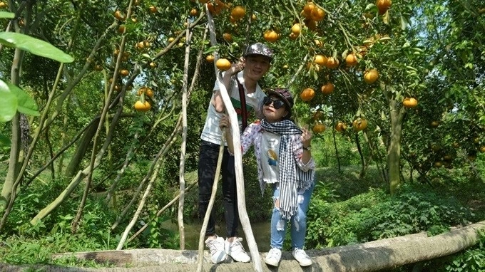 Dong Thap farmers embrace digital transformation for modern agriculture