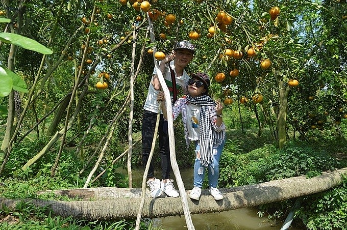 Đồng Tháp chú trọng thu hút đầu tư vào lĩnh vực nông nghiệp công nghệ cao.