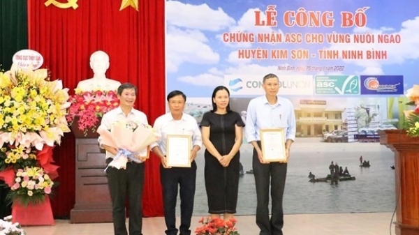 Clam farms in Ninh Binh win ASC certificate