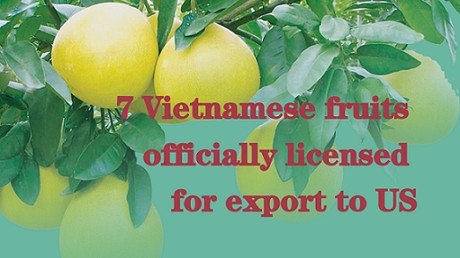 Seven Vietnamese fruits officially licensed for export to US