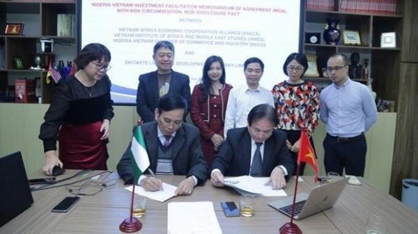 Vietnamese agencies cooperate in cattle breeding with Nigerian partners