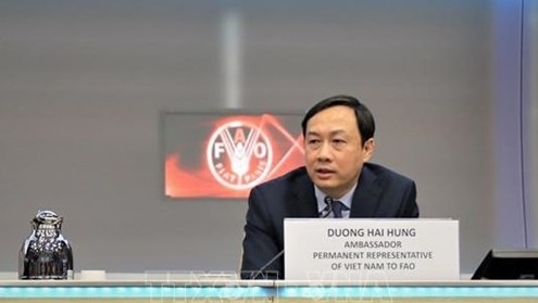 WFP lauds Vietnam's reform achievements, efforts on food security