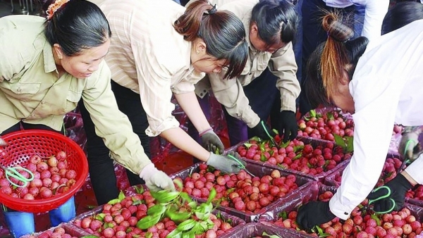 Warning issued on false information on exporting agricultural products to China