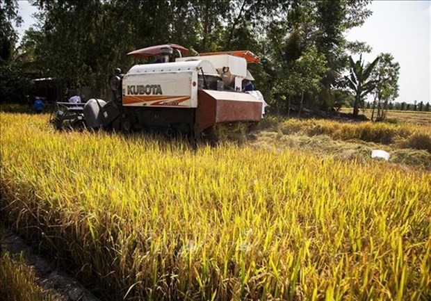 Vietnam eyes double investment in agriculture to 34 billion USD by 2030