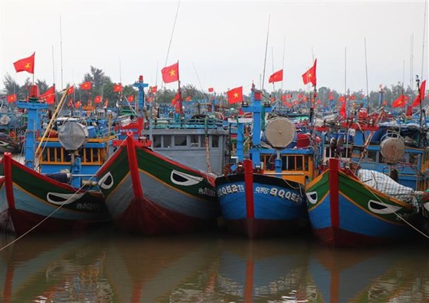 Quang Ngai records improvement in fishermen’s awareness of IUU fishing