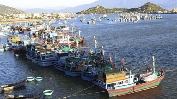 Ninh Thuan fish catch rises to 126,879 tonnes of seafood