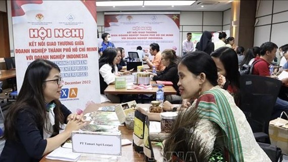 Vietnam, Indonesia have potential to boost economic partnership: Experts