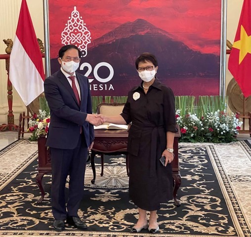 Vietnamese President's visit to Indonesia marks new milestone in bilateral ties: Scholar