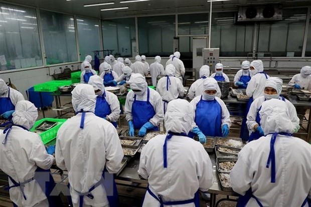 Export of aquatic products estimated at record 11 bln USD: MARD