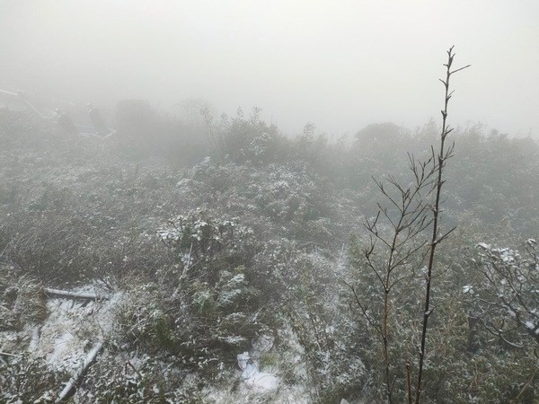 Snow covers top of Mount Fansipan