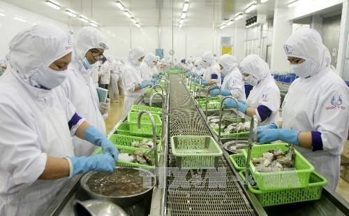 Ca Mau targets 1.3 billion USD from exports next year Ca Mau targets 1.3 billion USD from exports next year