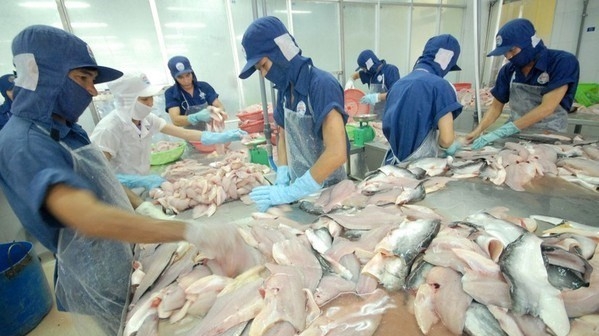 Strong growth recorded in tra fish exports to ASEAN